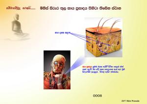 0008 කාය ප්‍රසාදය.jpg